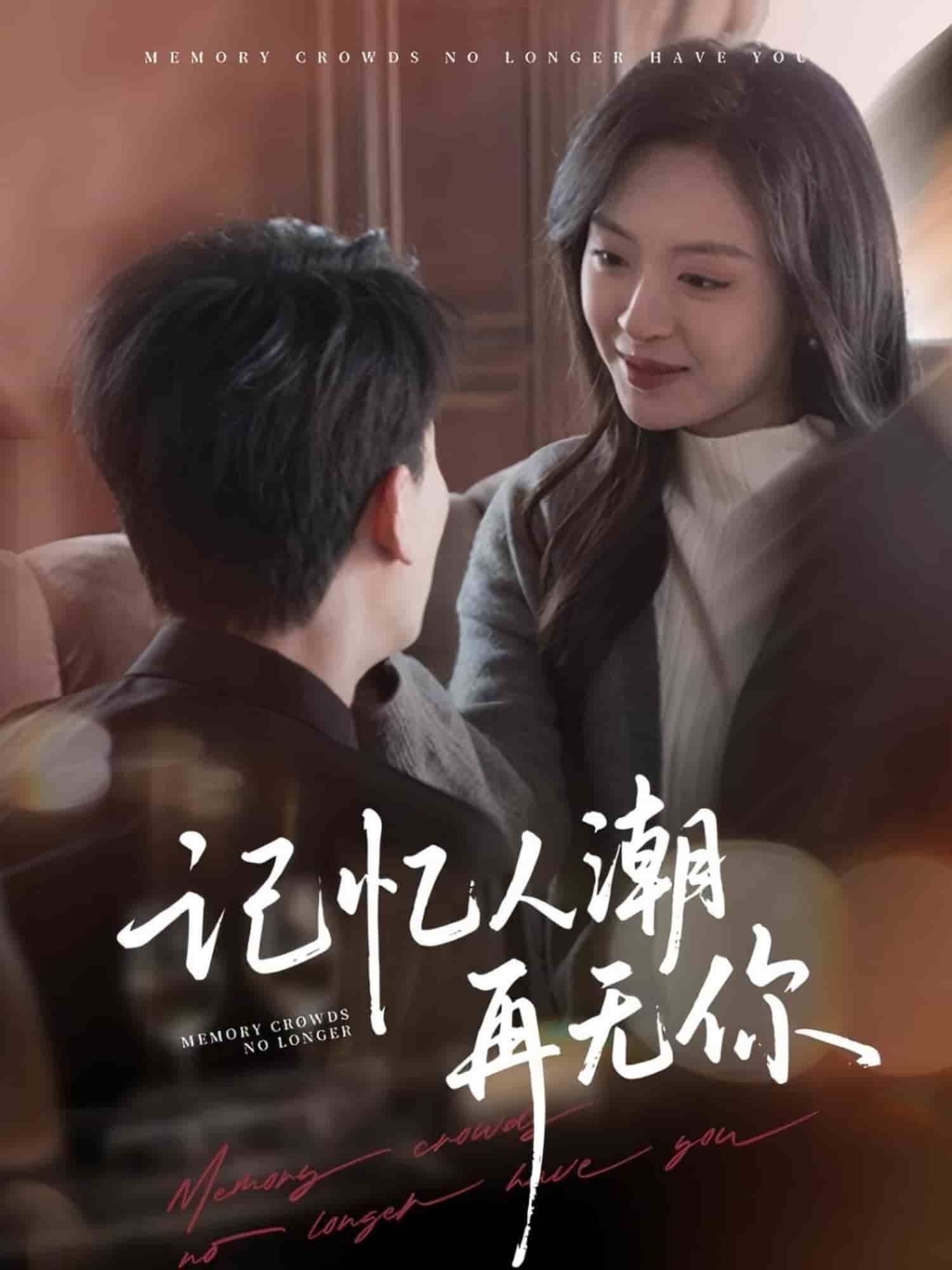 记忆人潮再无你(全集)