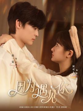 因为遇见你(全集)