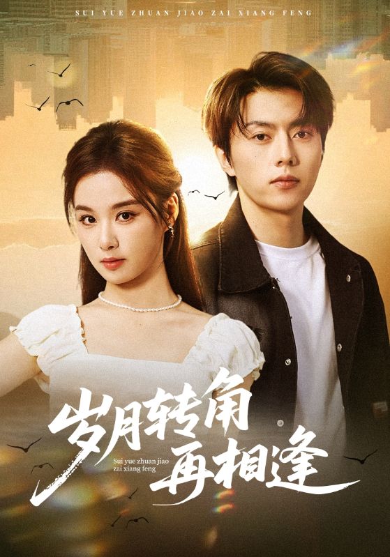 岁月转角再相逢(全集)