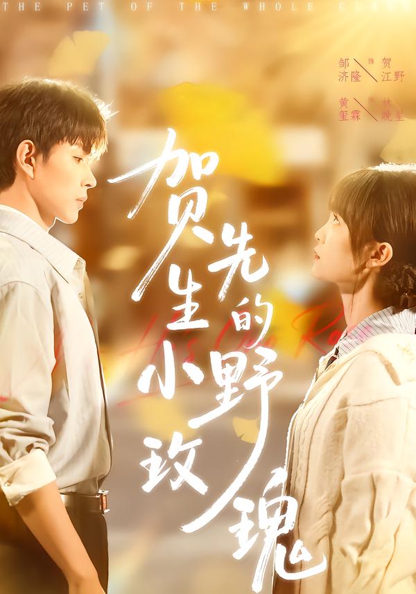 贺先生的小野玫瑰(全集)